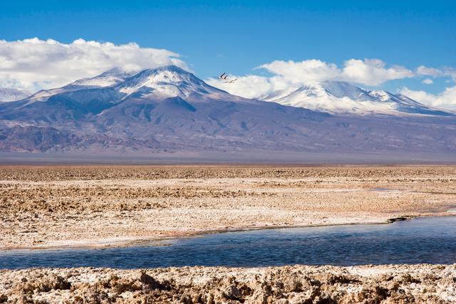 bmw joins lithium mining in chile
